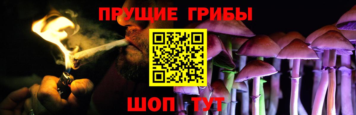 Галлюциногенные грибы Psilocybine cubensis  Вход с VPN  Тихвин 